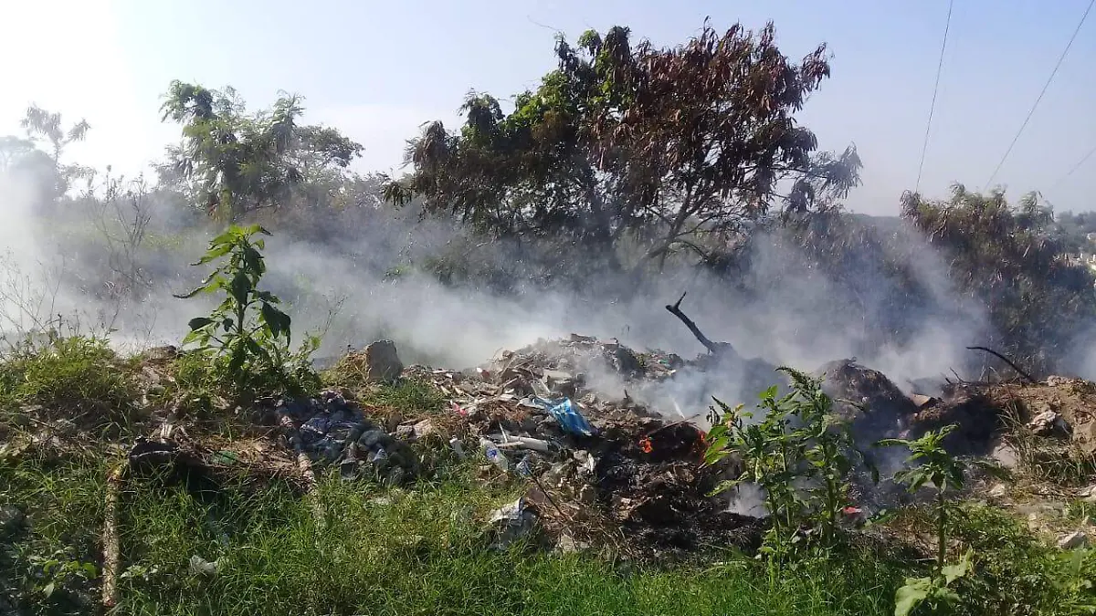 WhatsApp Image 2020-06-07 at 19.23.41 (1)