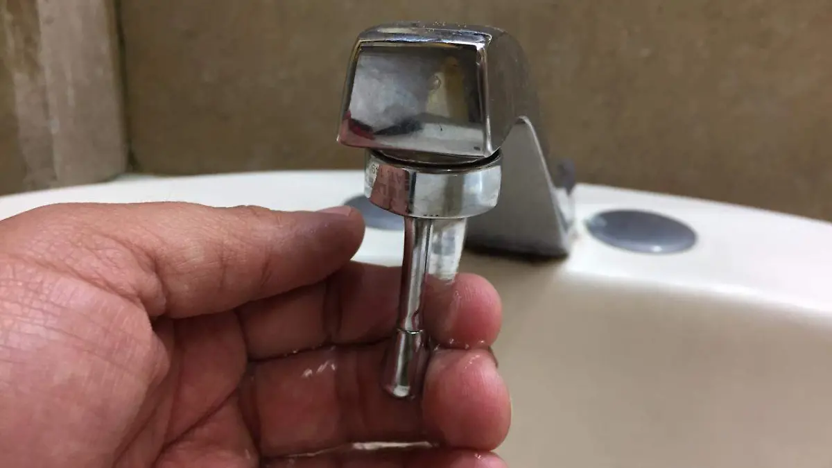 WhatsApp Image 2019-07-10 at 11.42.09 AM