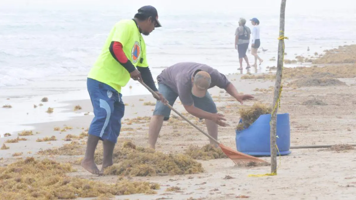 Image 2019-05-14 at 12.04.00 PM (1)