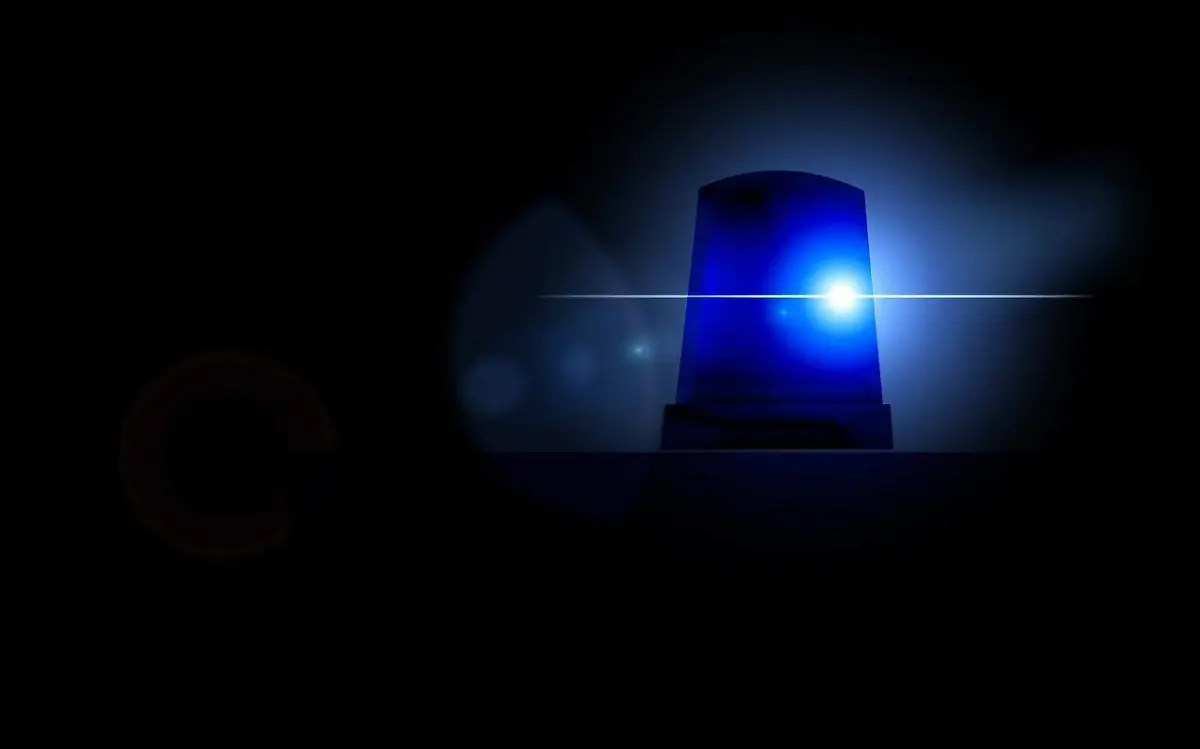 WhatsApp Image 2021-11-20 at 9.08.18 PM