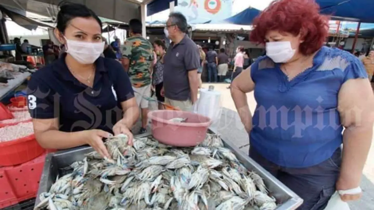 Image 2020-04-20 at 10.49.17 AM (1)