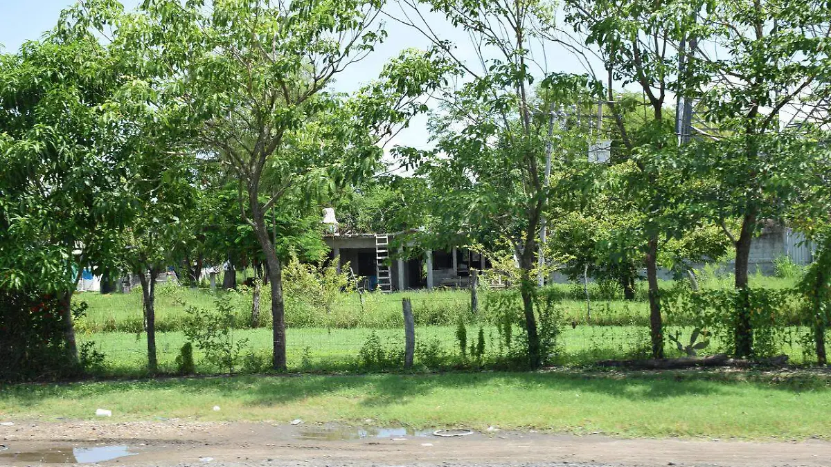 WhatsApp Image 2020-09-27 at 16.31.01