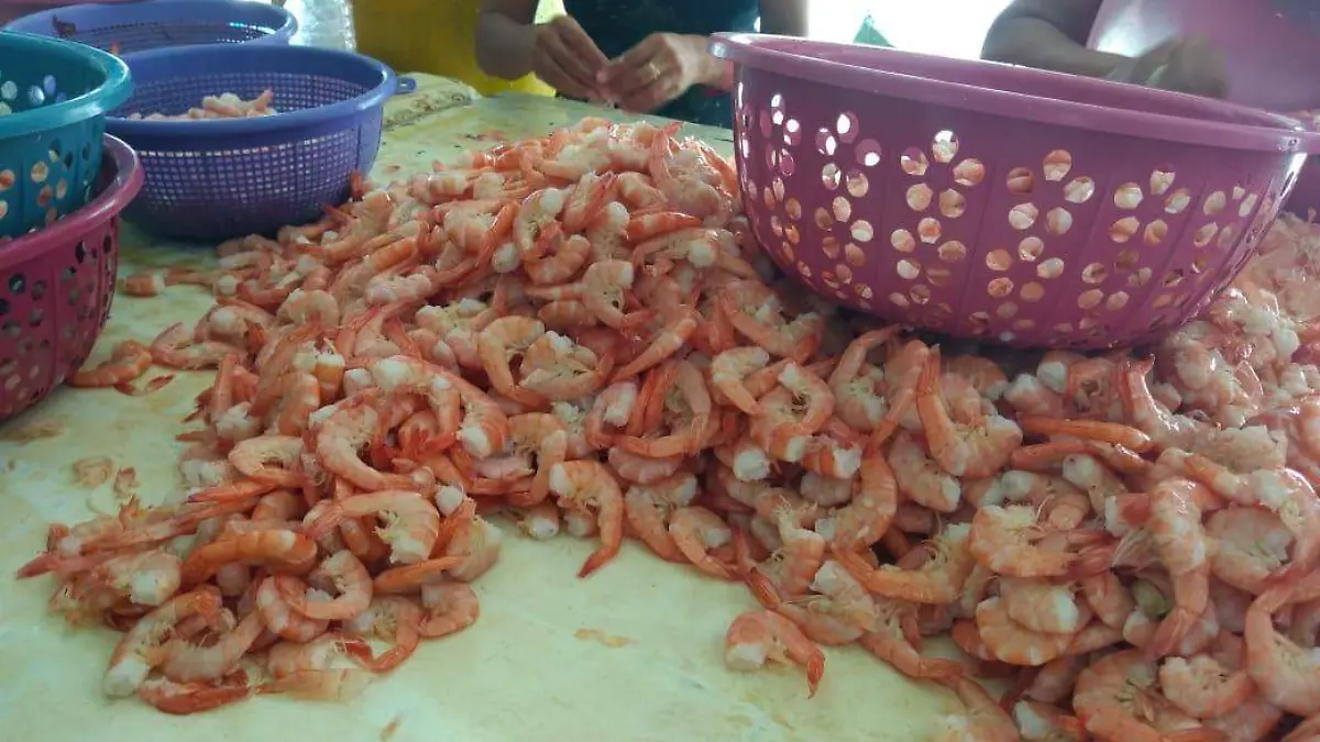 WhatsApp Image 2020-12-06 at 16.27.48