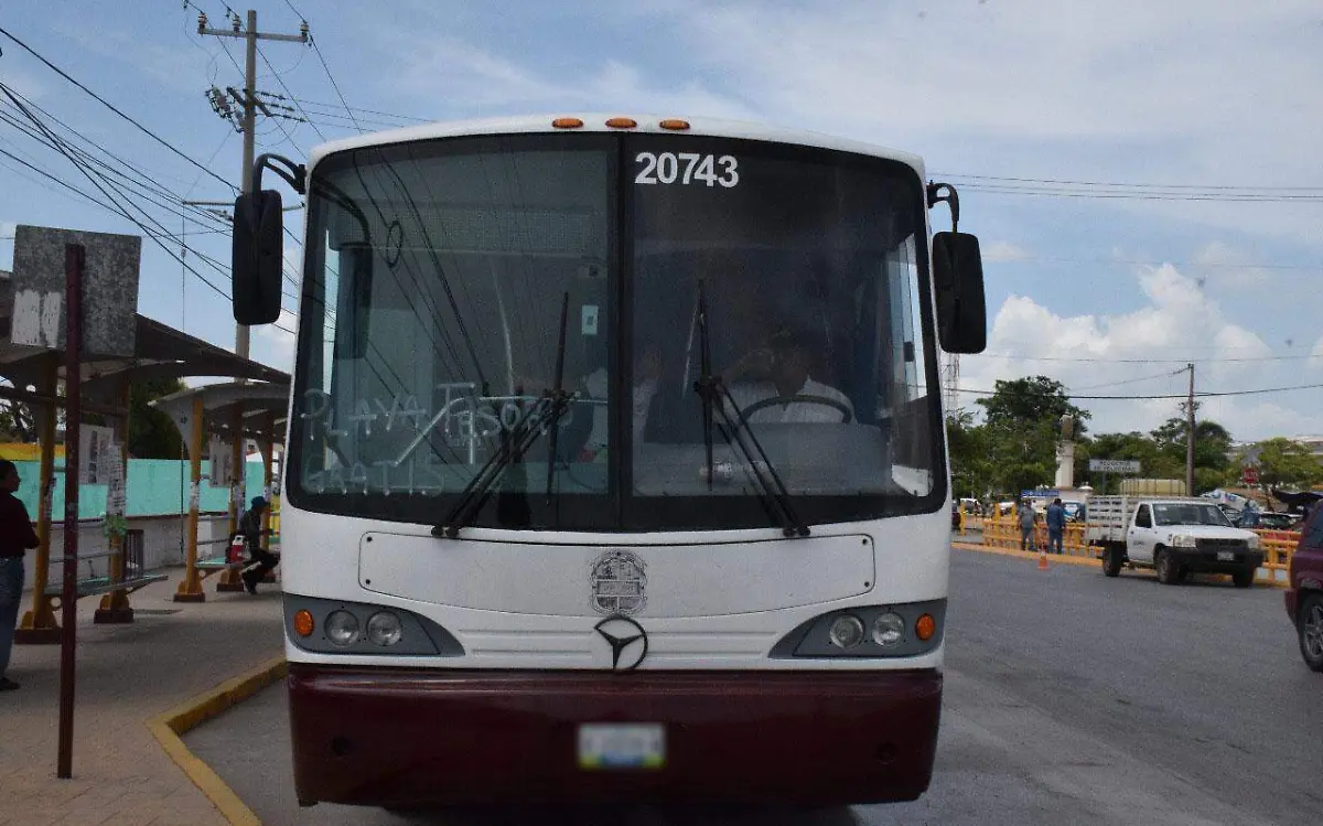 Transporte gratuito a playa Tesoro este fin de semana