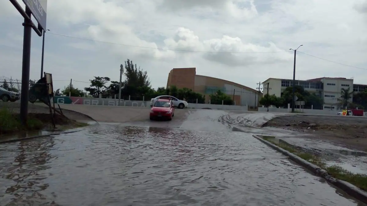 WhatsApp Image 2020-06-25 at 11.47.08