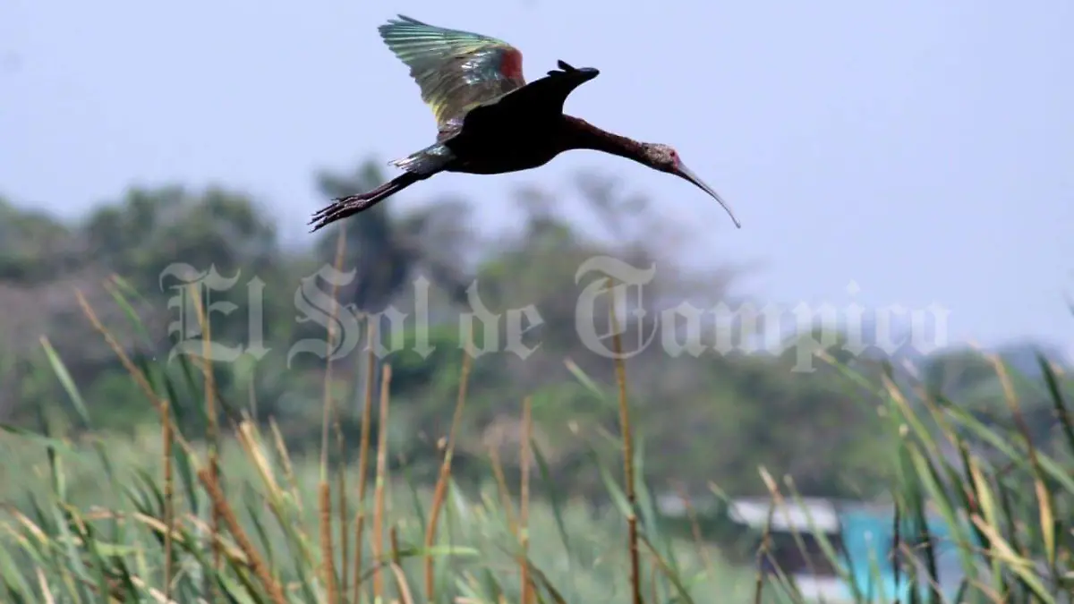 Image 2020-04-21 at 21.44.47 (2)