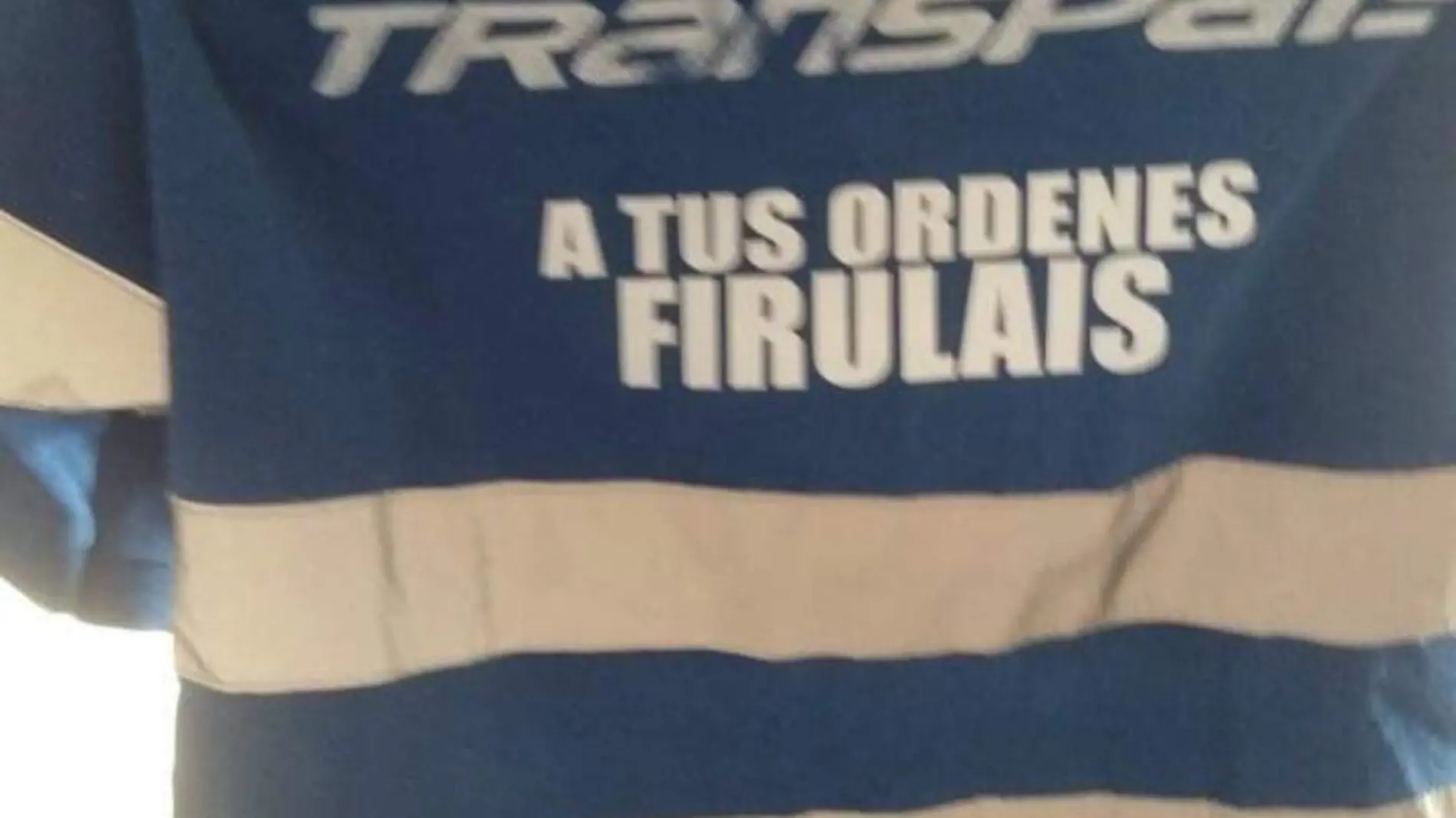 firulais-perro-tamaulipas-trabajo