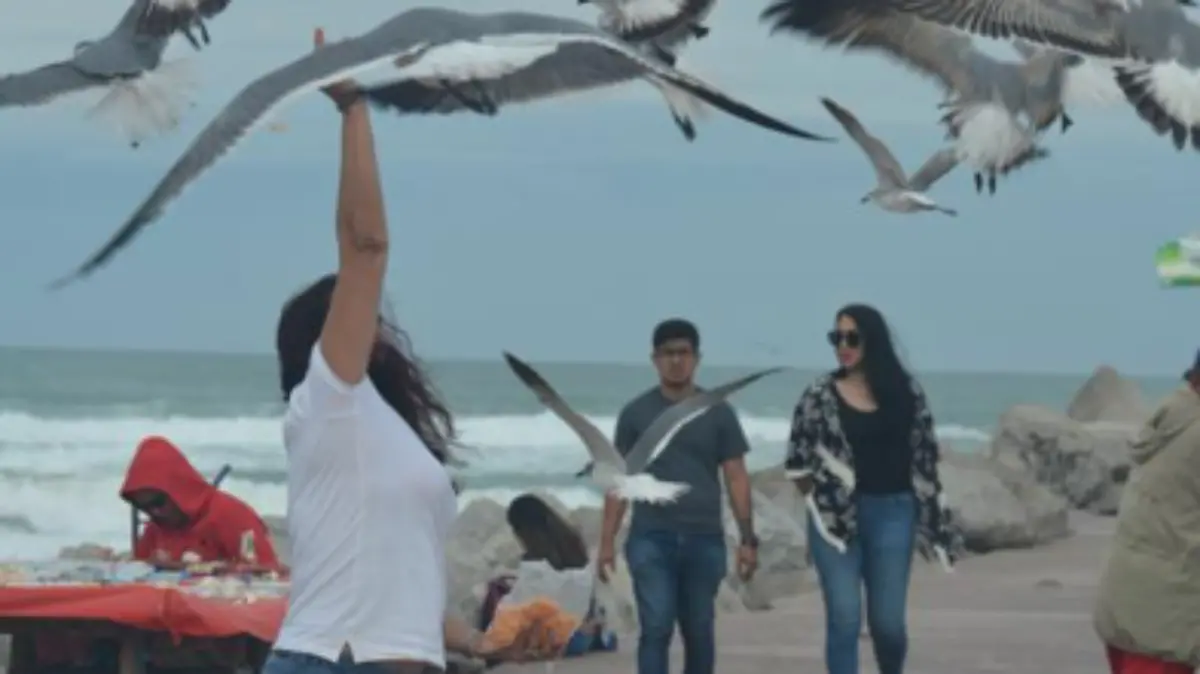 Captura de Pantalla 2020-01-17 a la(s) 23.43.21