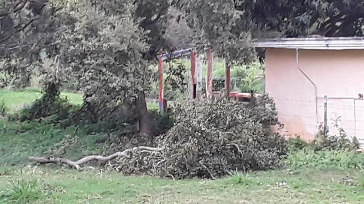 Image 2020-02-05 at 20.33.24