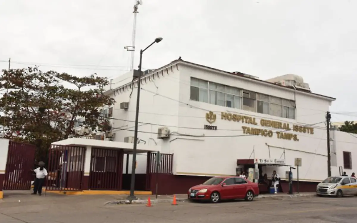 Encuentran tlacuaches en el ISSSTE Tampico