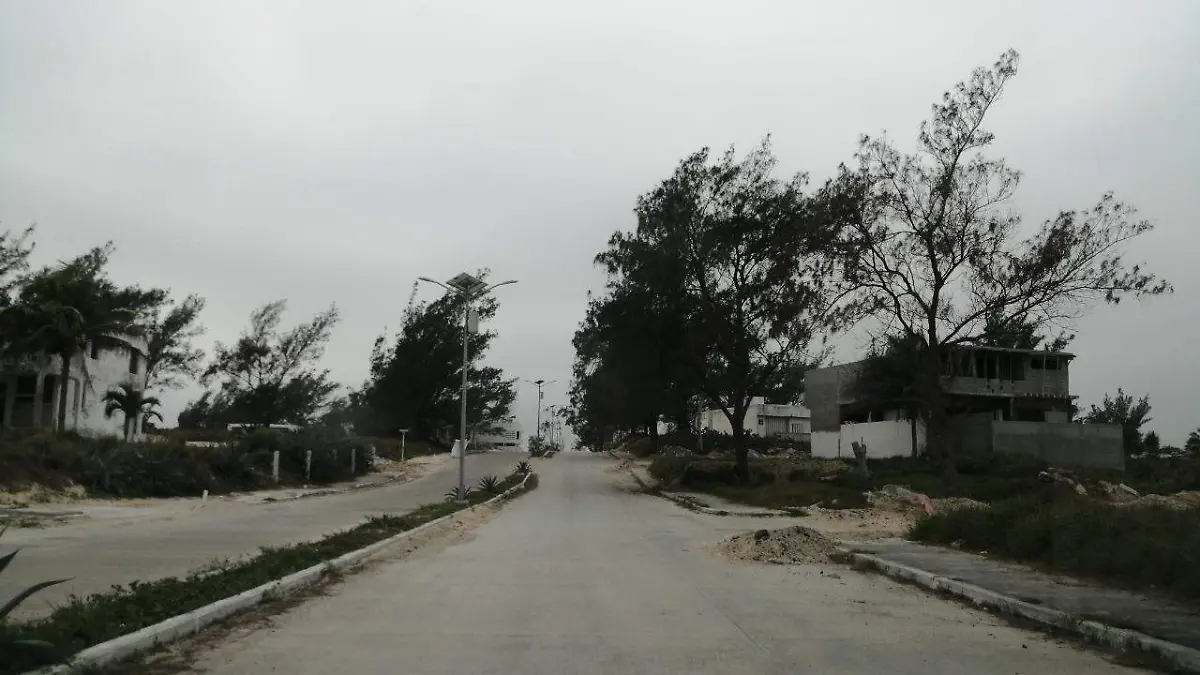 WhatsApp Image 2020-04-05 at 12.17.00