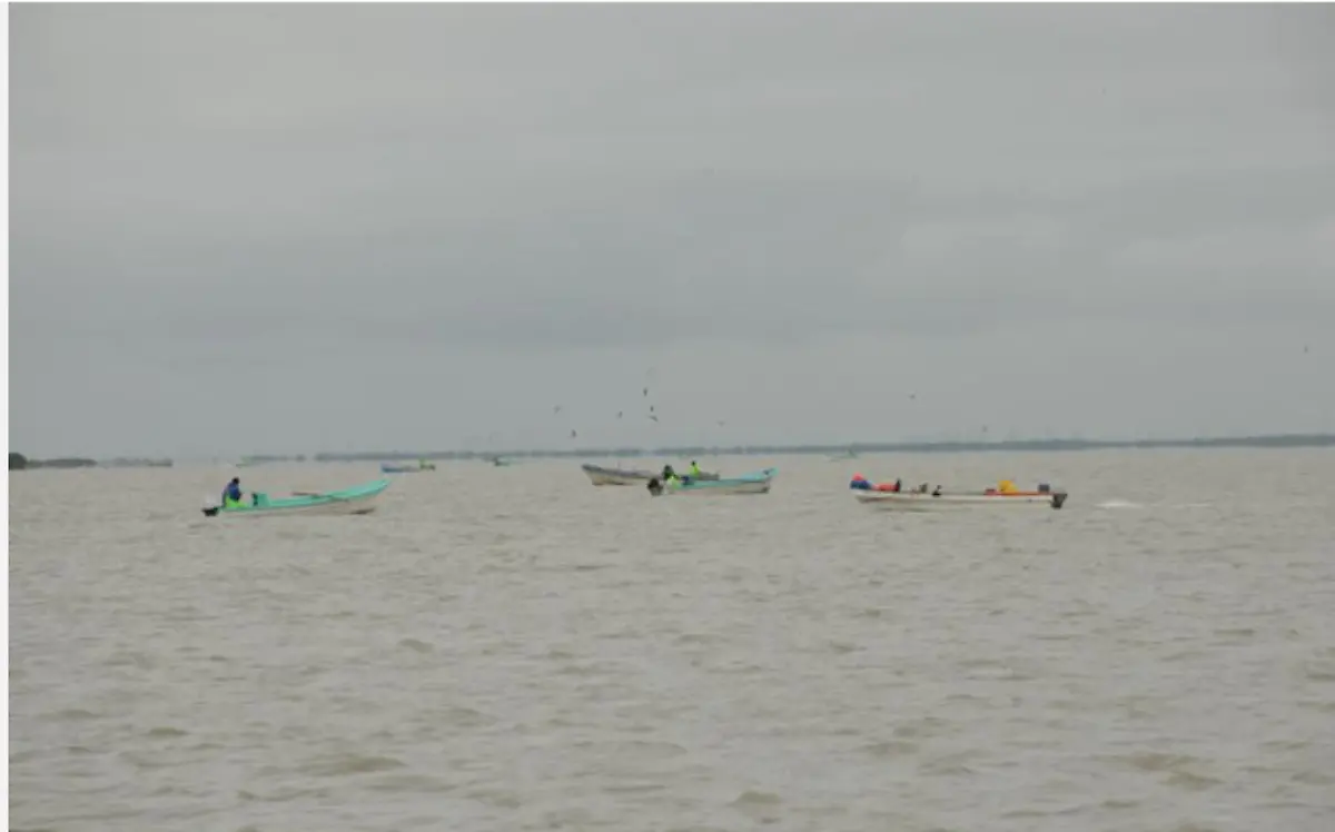 Pescadores demandan dragado