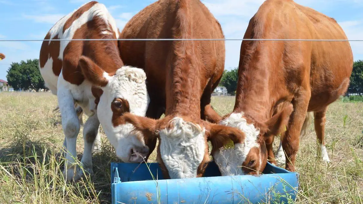 WhatsApp Image 2018-10-11 at 12.28.01 PM