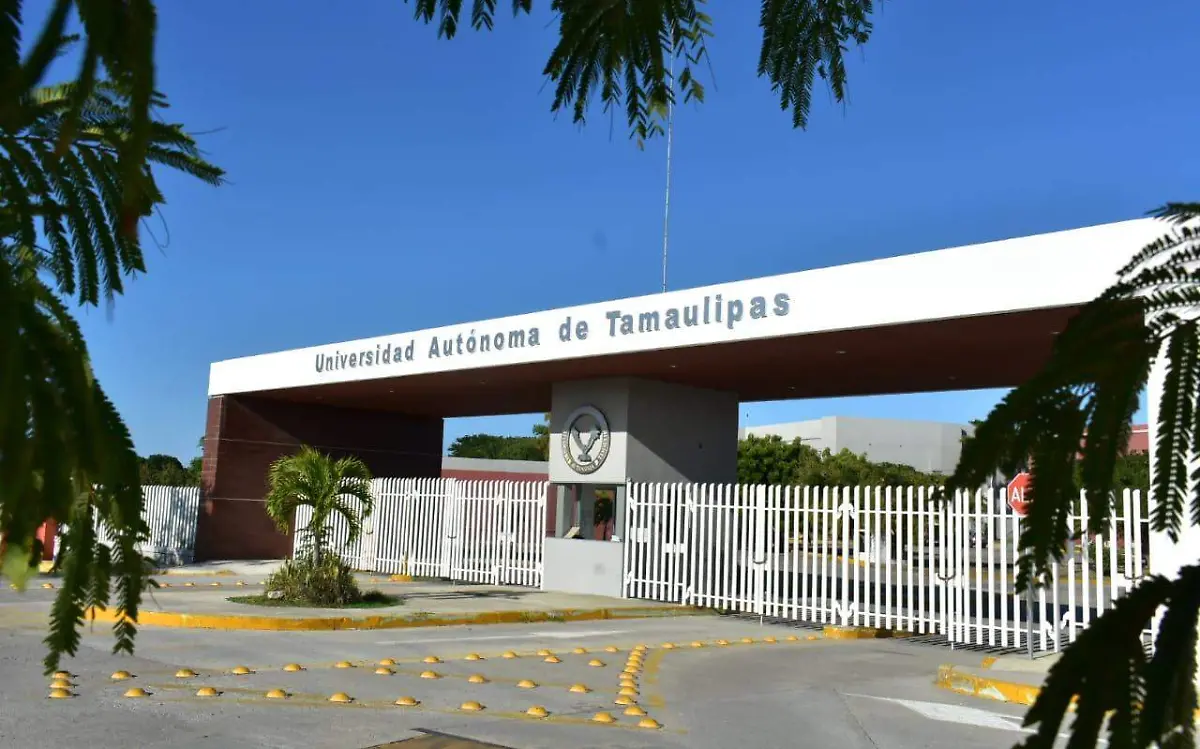 UAT explica cómo puedes vender más a través de Internet: una guía completa