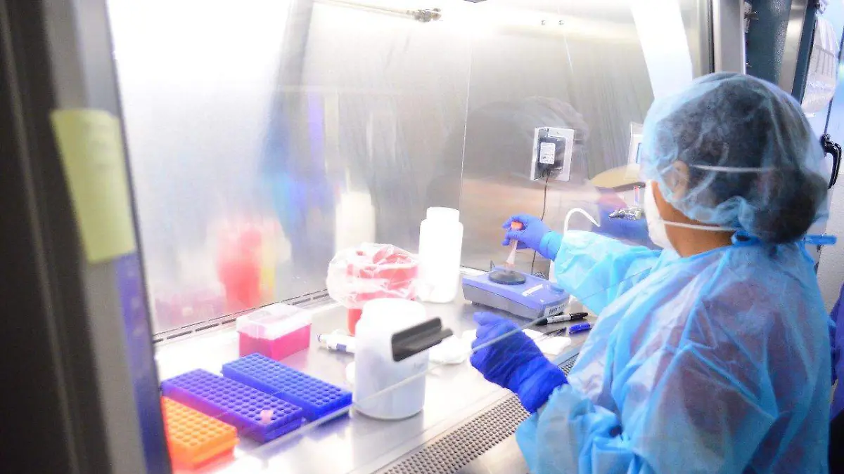 WhatsApp Image 2020-09-10 at 20.17.23