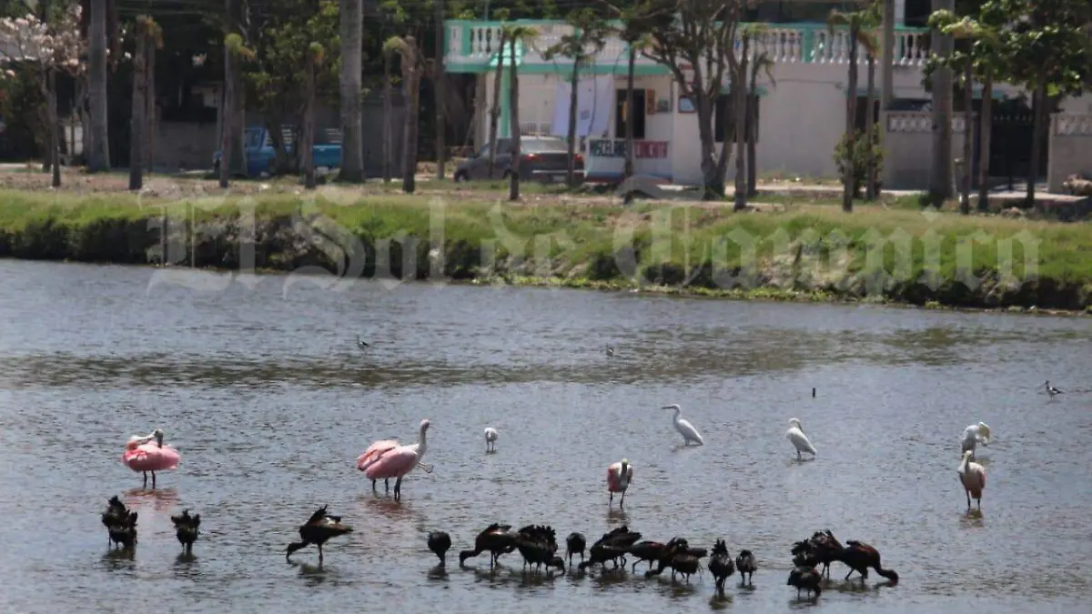 Image 2020-04-21 at 21.44.48 (1)