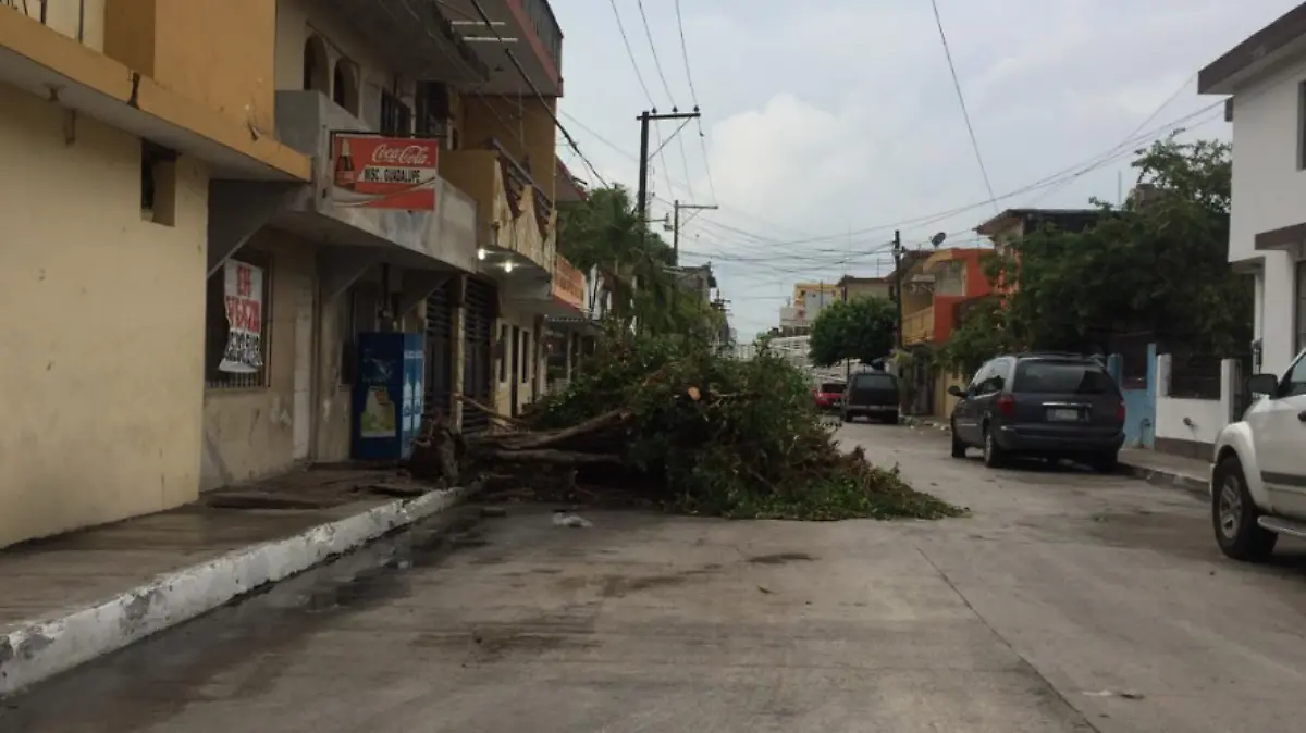 Captura de Pantalla 2019-09-11 a la(s) 8.40.45