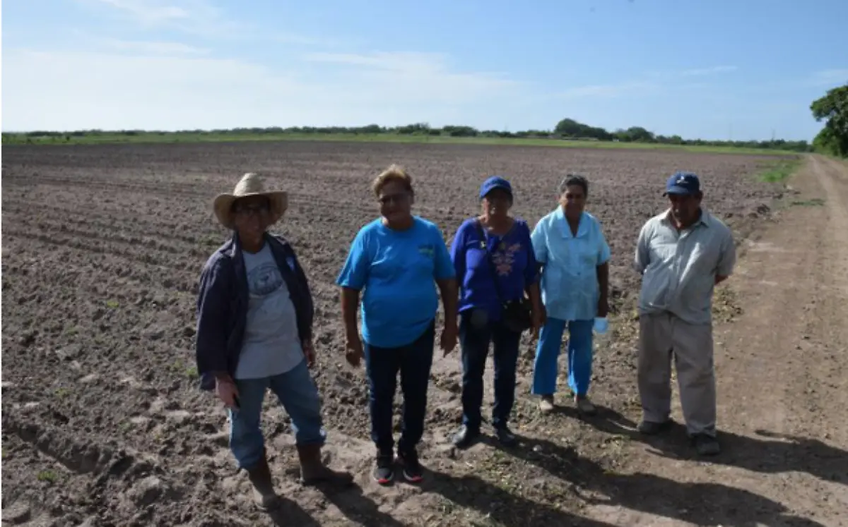 Inició la siembra de cacahuate en Agua de Castilla en Altamira