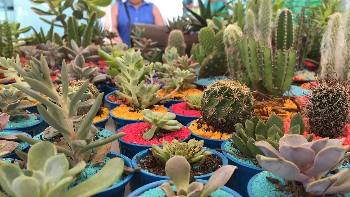 Image 2019-06-05 at 2.48.59 PM (1)