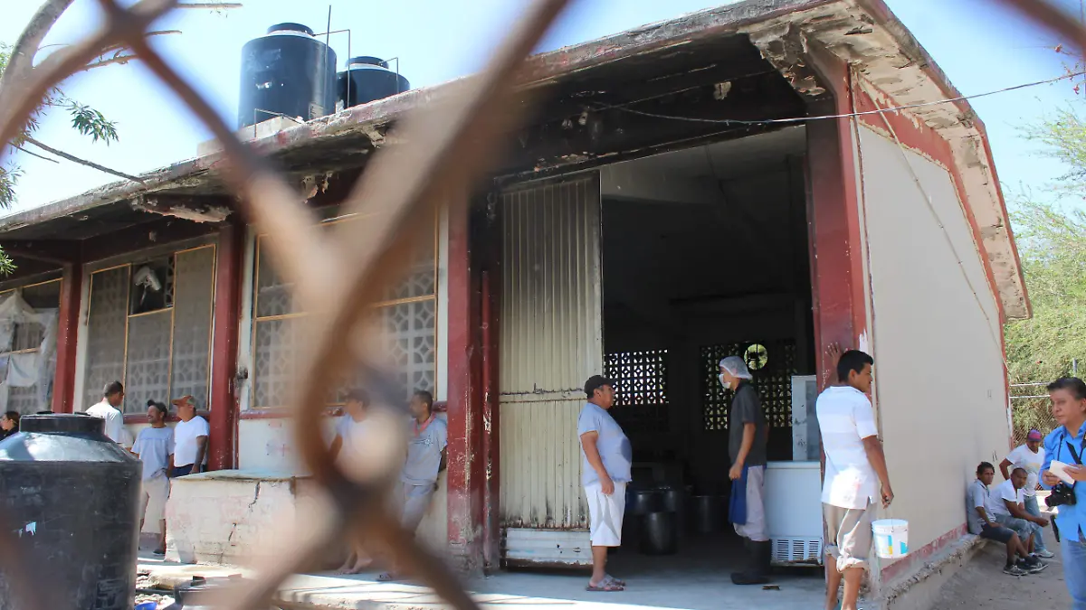 la vida . Jaime Jiménez