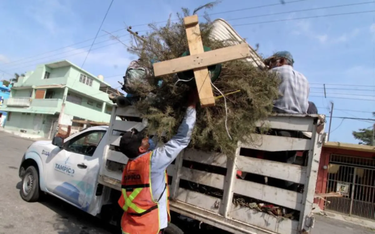 ¿Dónde pongo el árbol de Navidad?