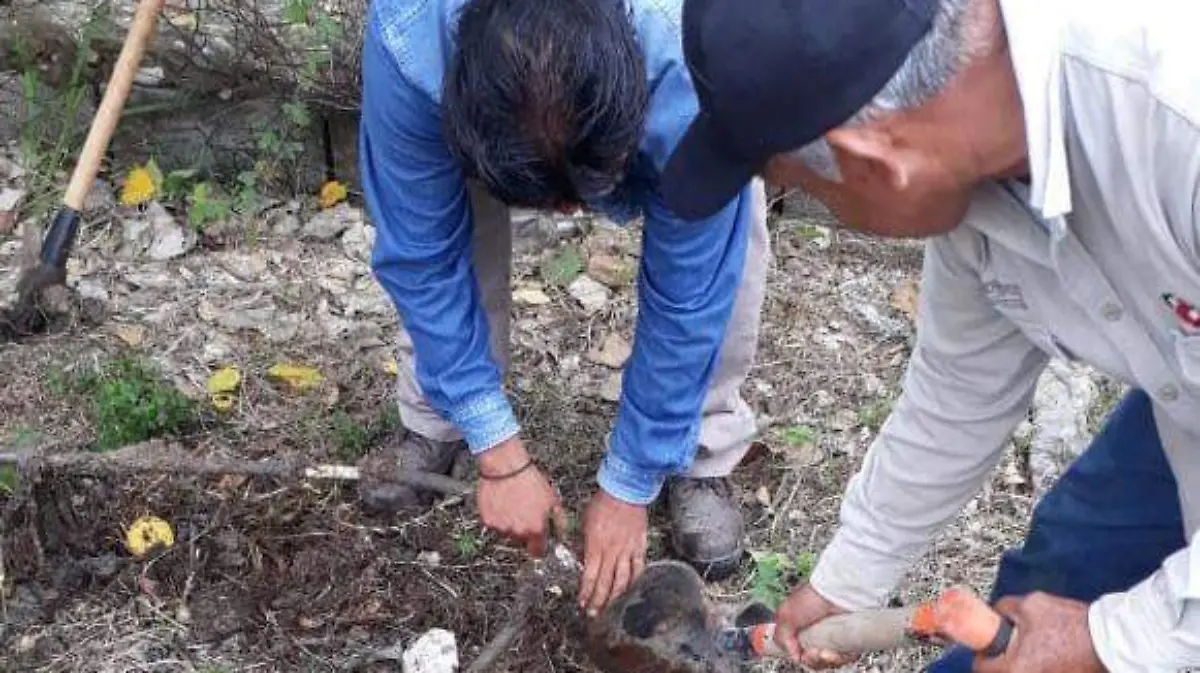 WhatsApp Image 2020-02-19 at 4.53.04 PM