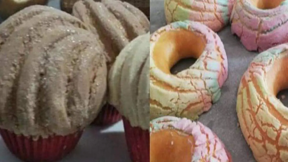 conchas