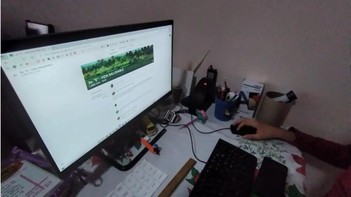 Las clases virtuales no cumplieron al cien por ciento el objetivo establecido debido a la carencia de infraestructura en escuelas y en hogares