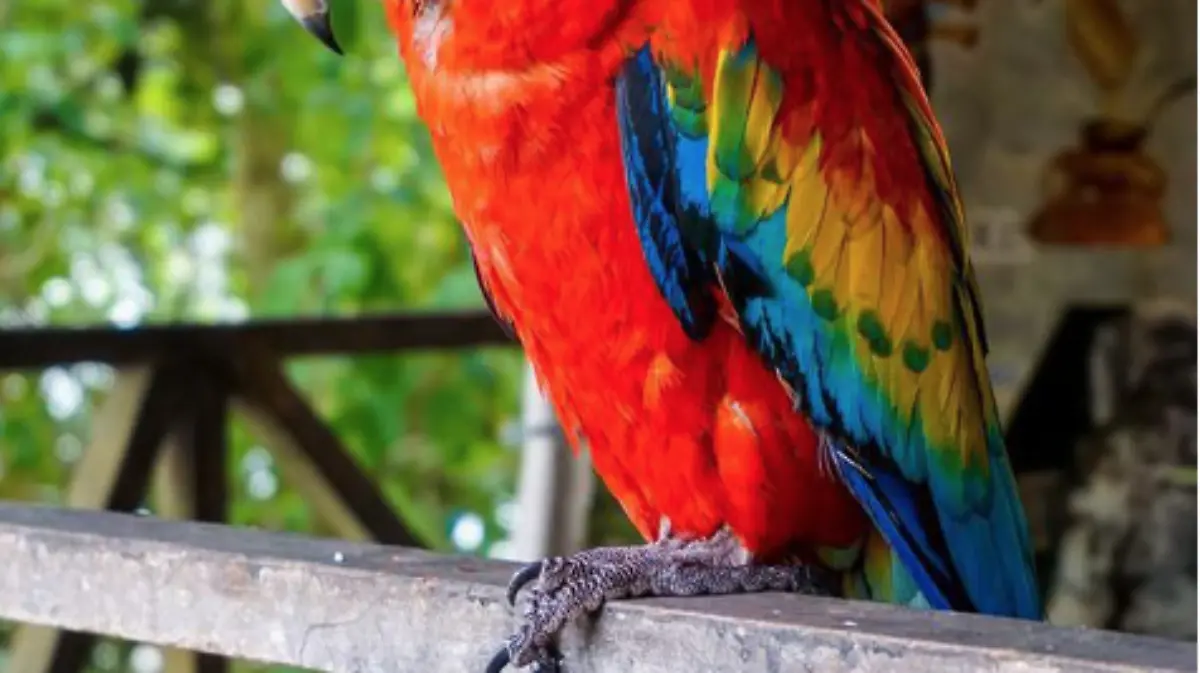 Captura de Pantalla 2020-03-02 a la(s) 22.25.52