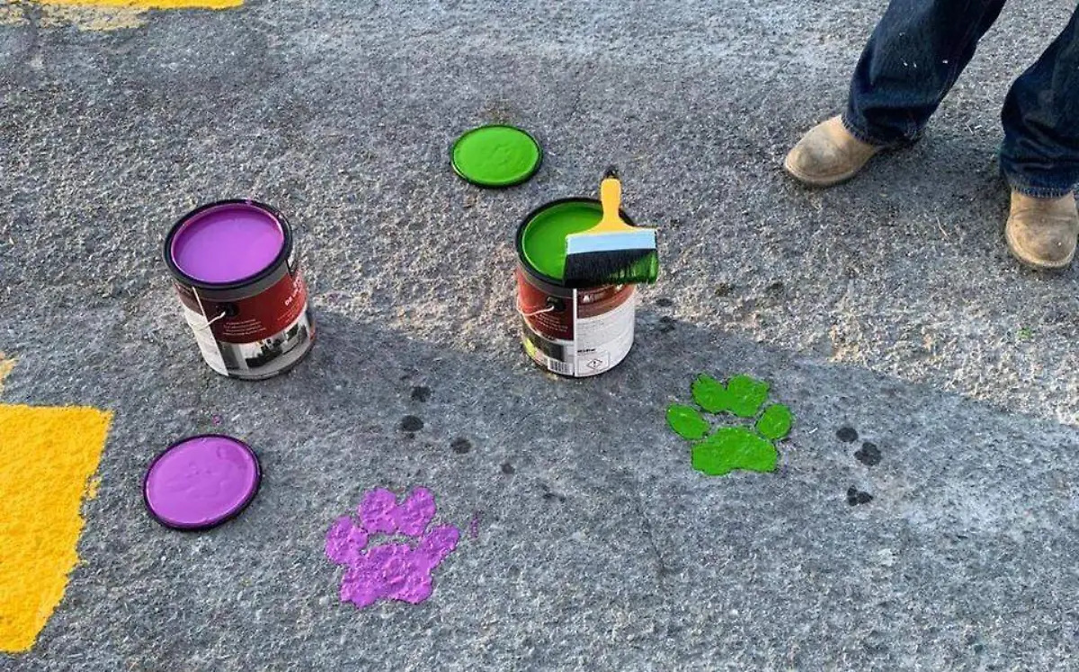 Las huellitas en los pasos peatonales de Gustavo Díaz Ordaz son de distintos colores