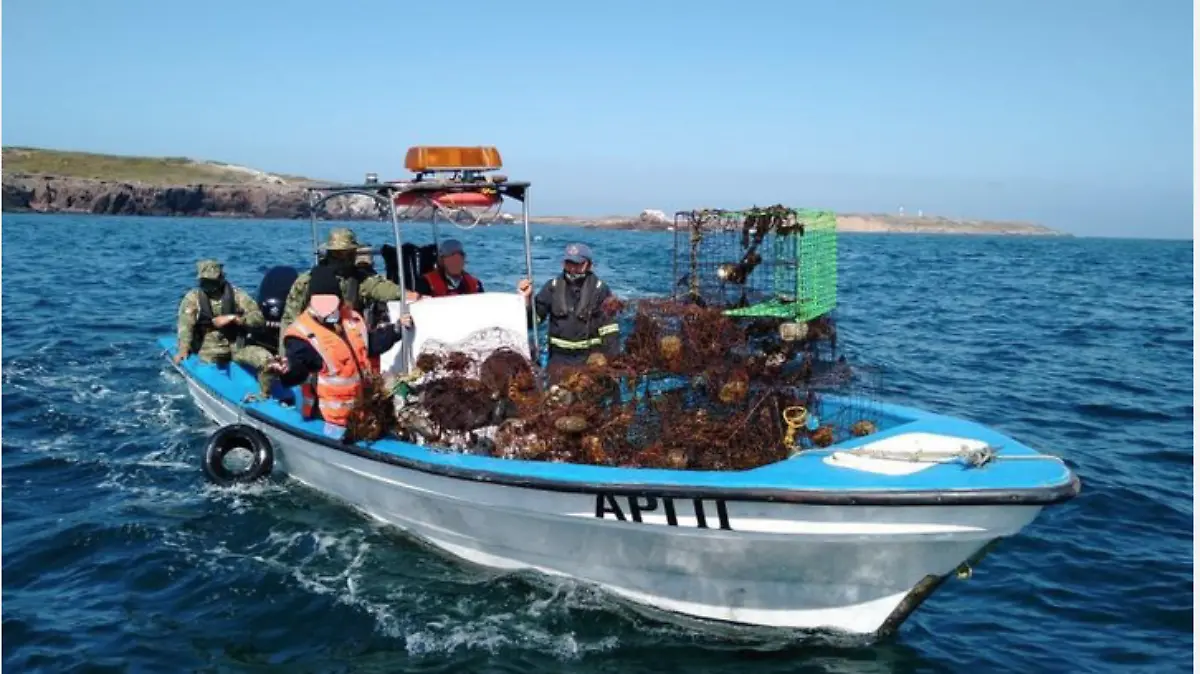 Oficiales de la Semar y Conapesca refuerzan patrullaje en litoral de Tamalipas y Campeche en este periodo de veda de camarón