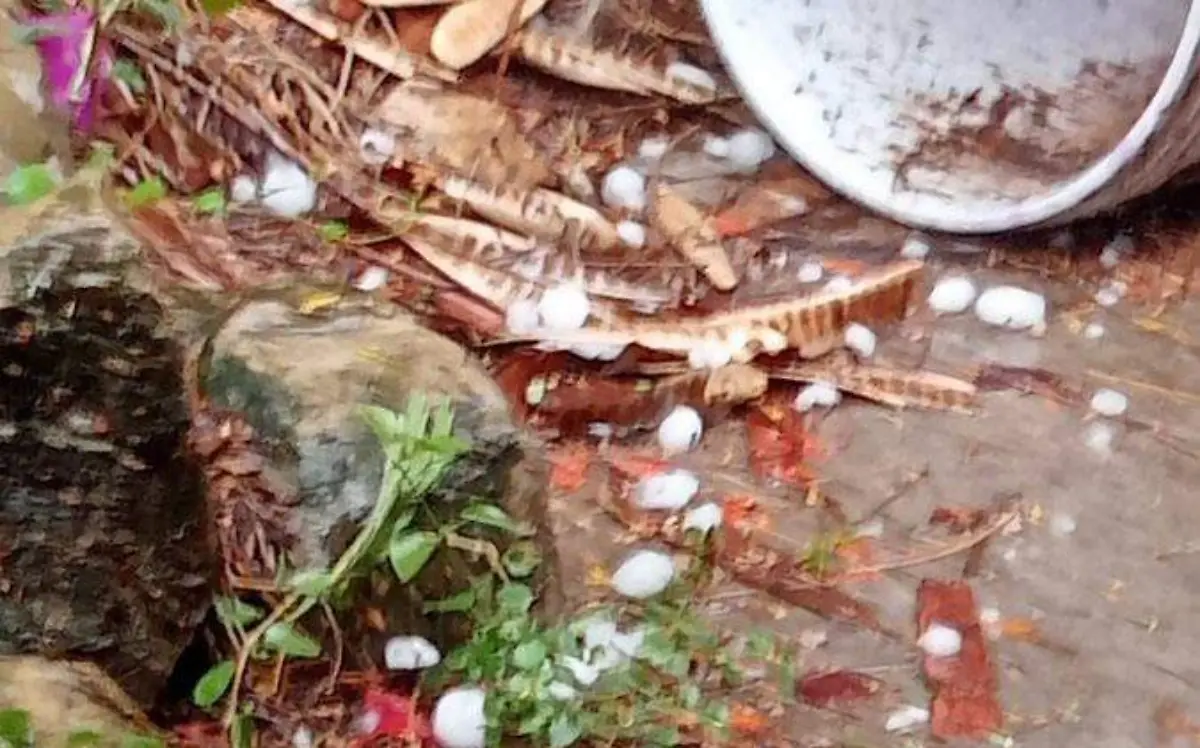 Vuelve a caer granizo en Tamaulipas