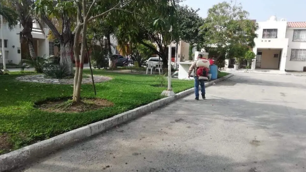 WhatsApp Image 2020-02-25 at 11.49.26 AM (1)