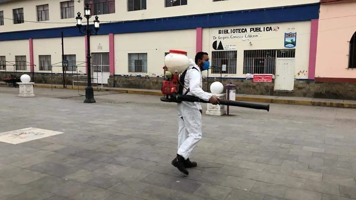 Image 2021-01-17 at 16.16.45 (1)