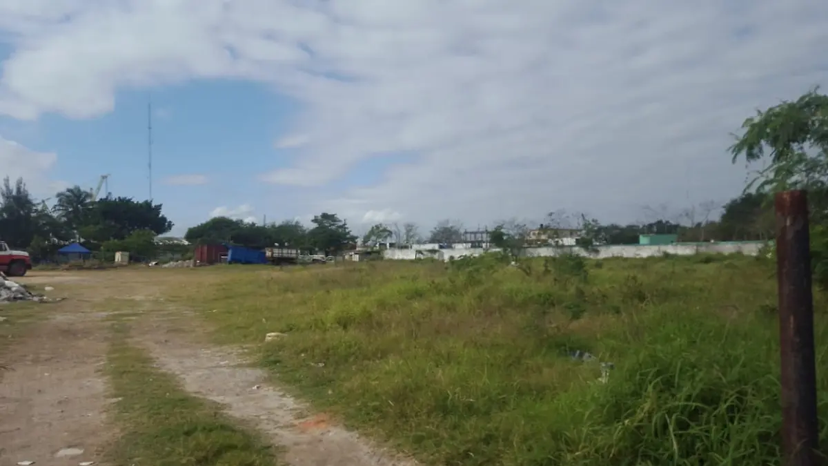 Captura de pantalla 2020-02-29 a las 12.31.56 p.m.