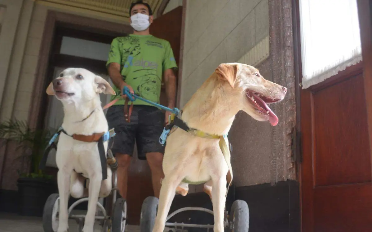 WhatsApp Image 2021-03-12 at 4.54.05 PM