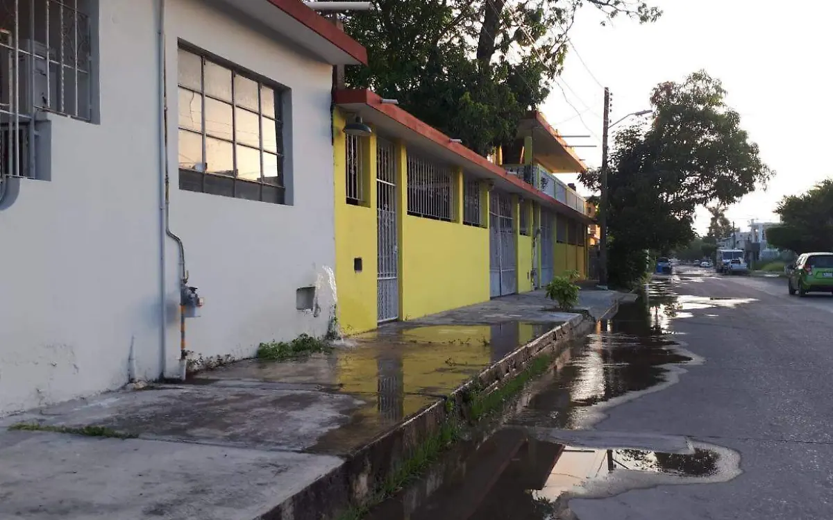 WhatsApp Image 2021-08-10 at 10.22.37 AM (1)