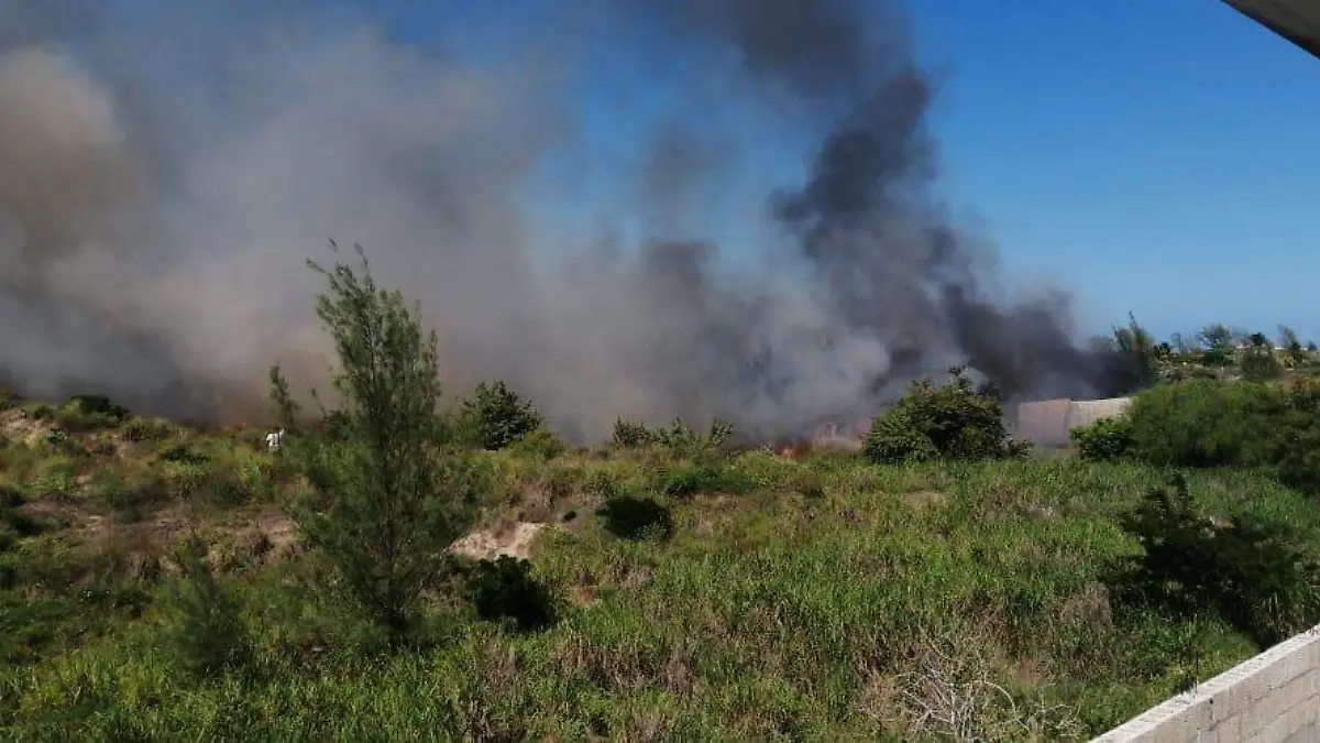 WhatsApp Image 2019-09-25 at 15.35.41 (1)