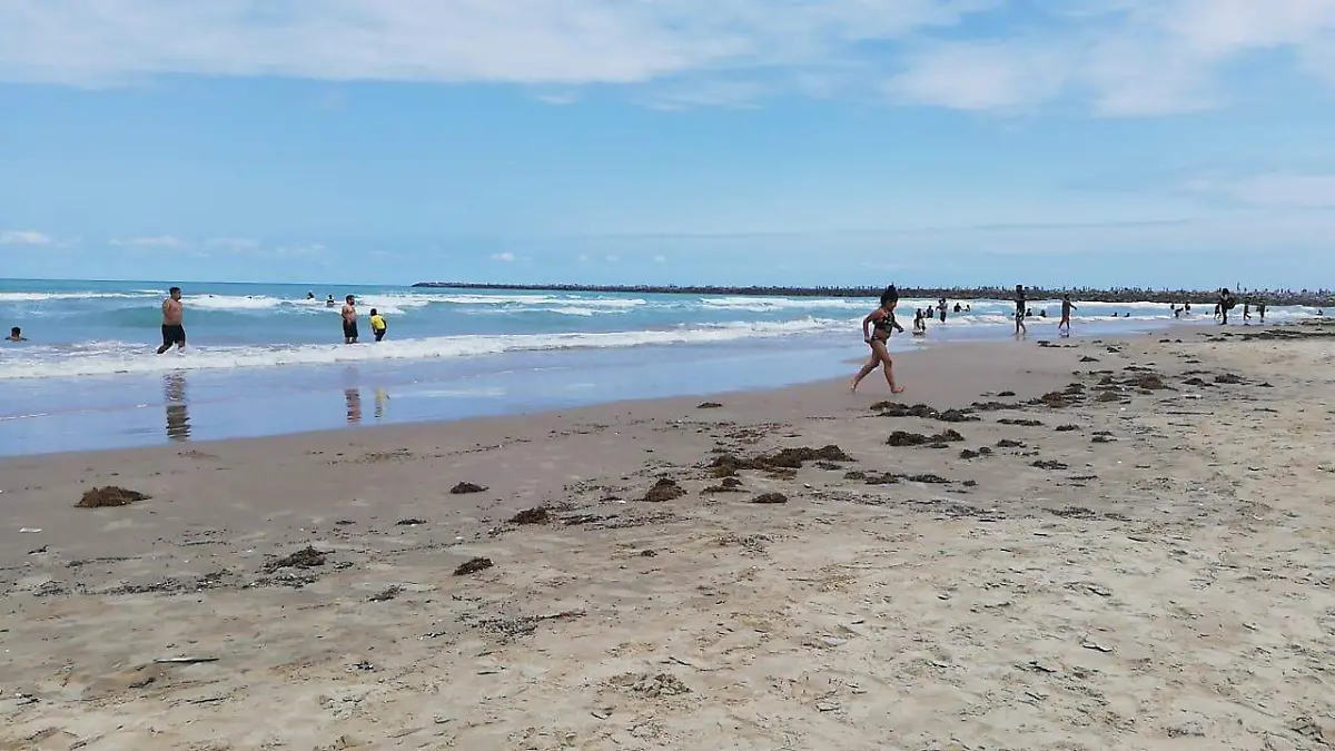 aguamala2