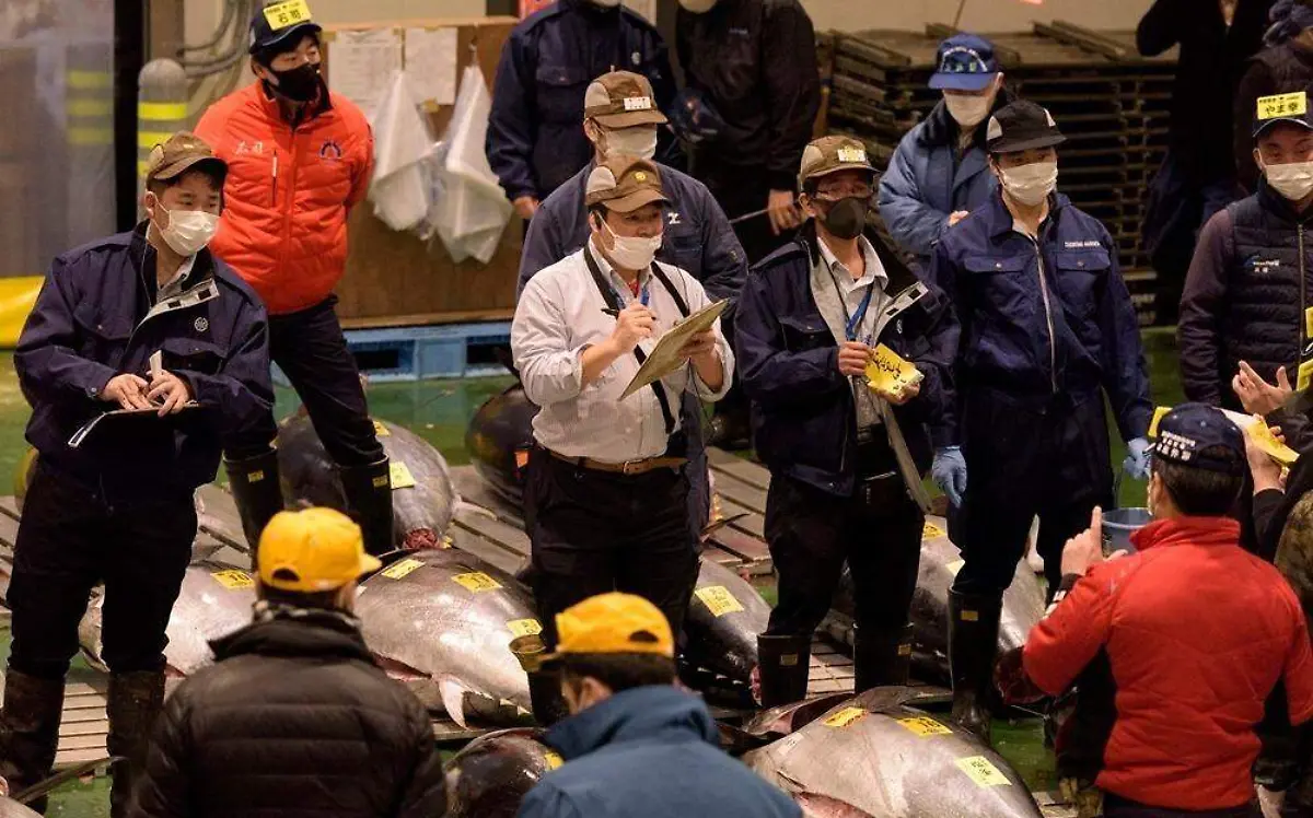 WhatsApp Image 2022-01-10 at 9.15.07 PM