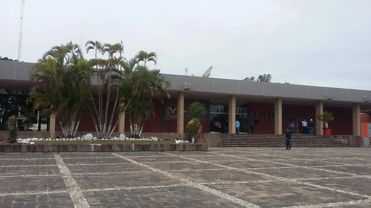 WhatsApp Image 2020-11-01 at 16.18.16