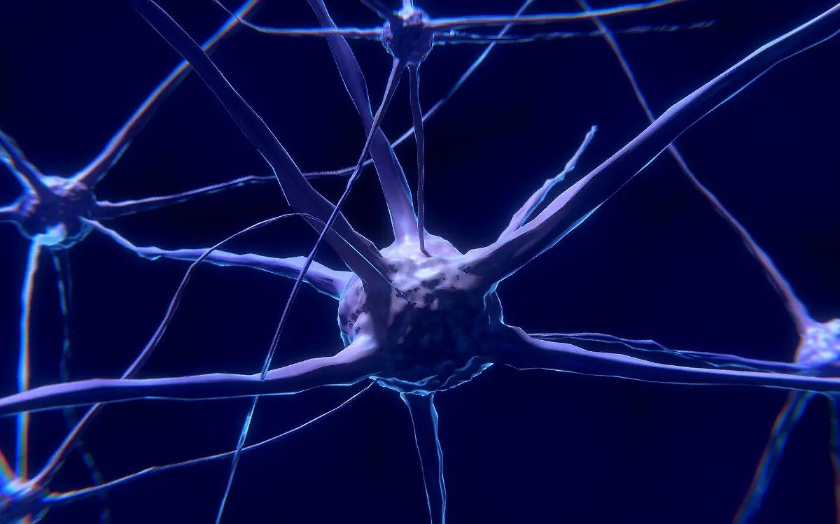 nerve-cells-g292ee7d0d_1920