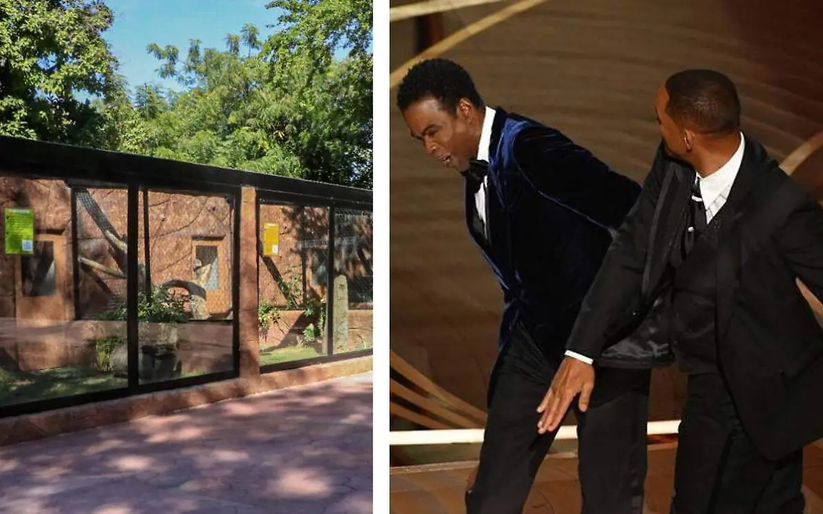 Will Smith y Chris Rock 