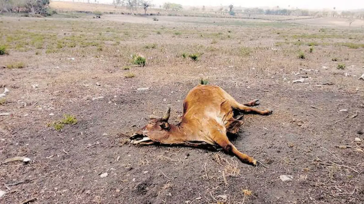 Captura de pantalla 2019-05-24 a la(s) 22.55.21