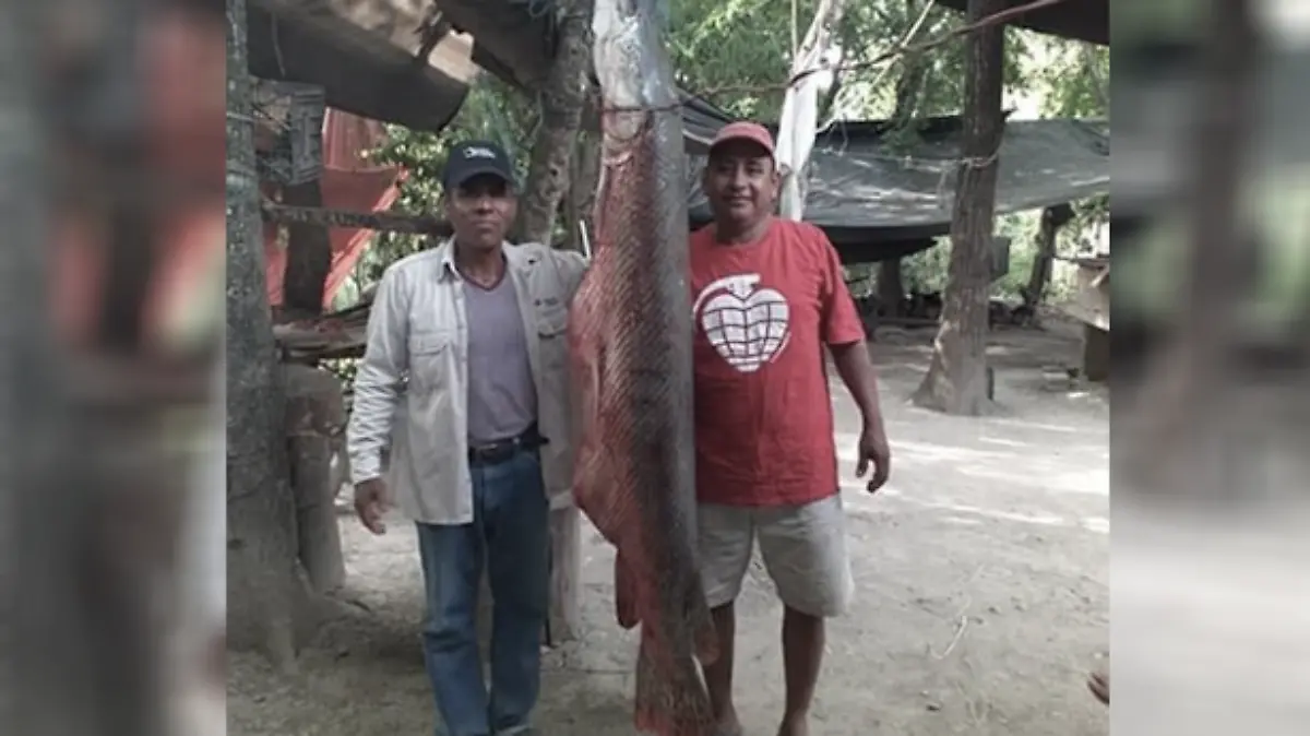 Captura de Pantalla 2019-08-10 a la(s) 19.53.53