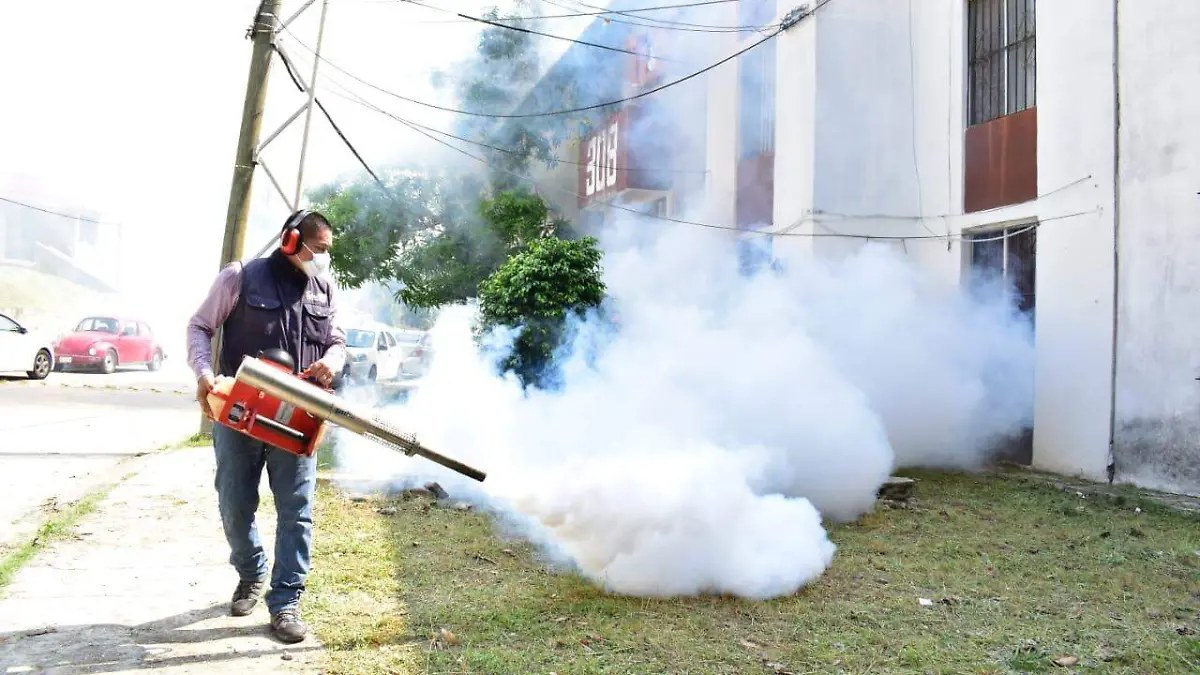 WhatsApp Image 2020-11-22 at 15.28.43