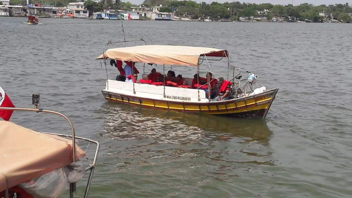 Image 2019-06-24 at 11.40.36 AM