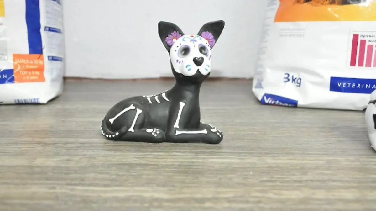 Captura de Pantalla 2019-11-03 a la(s) 12.50.34