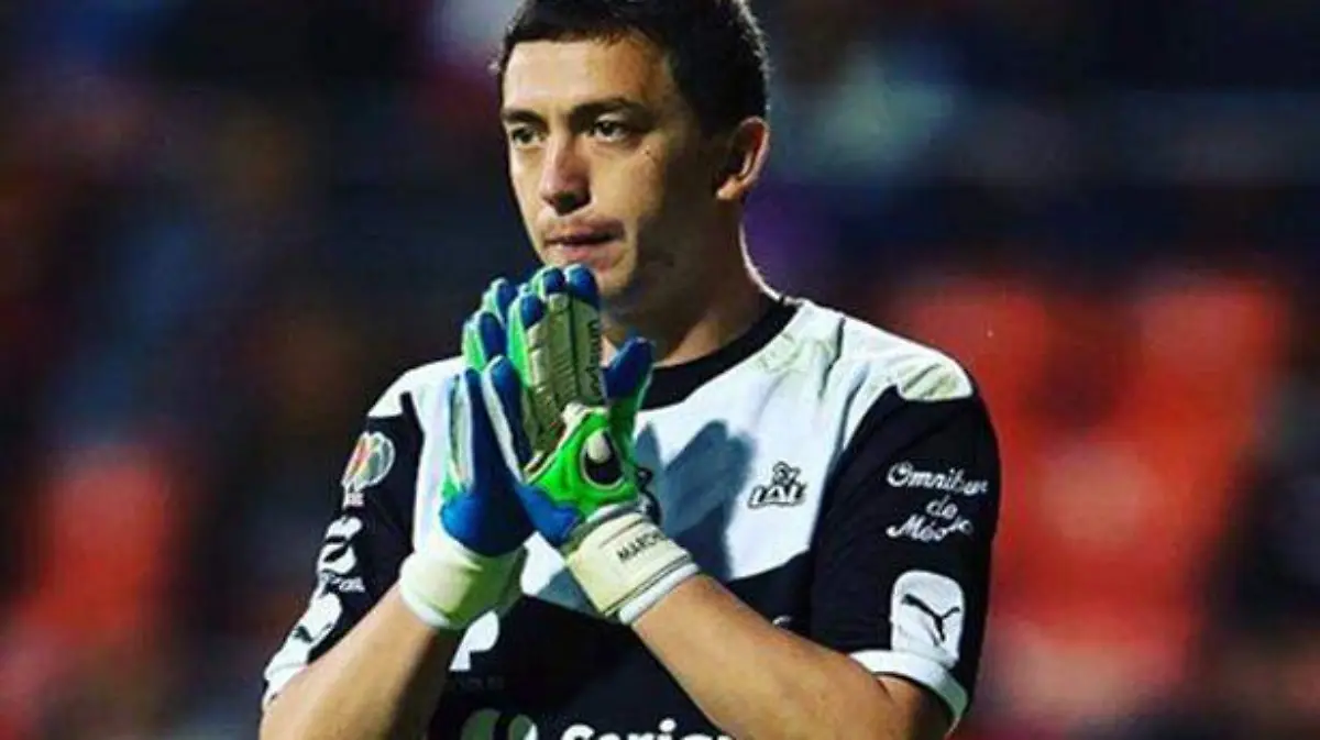dep-marchesin