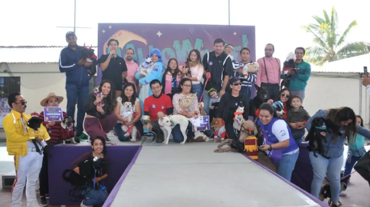 Captura de Pantalla 2019-10-30 a la(s) 19.31.51